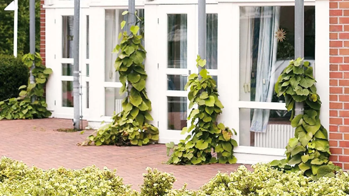 Das Gebäude der PFLEGEN & WOHNEN HAMBURG Öjendorf Einrichtung.