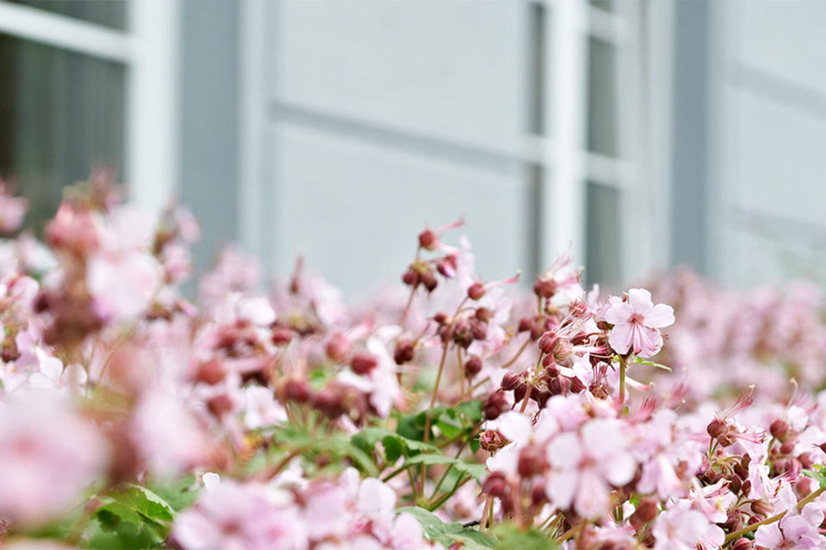 Auch für Personen mit Unterbringungsbeschluss stellt PFLEGEN & WOHNEN HAMBURG geeignete Pflegeplätze bereit.